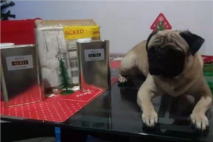 Большой контейнер для керамического покрытия